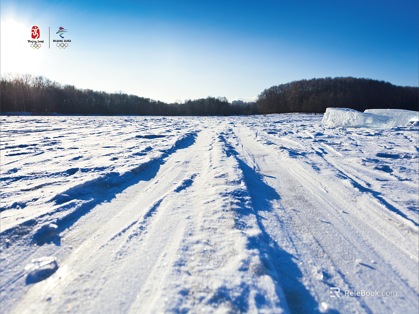 Snow texture