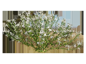 Plants texture (ID:ffagg01146)