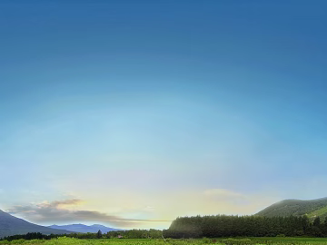 Wild Scenery texture (ID:ffaeg47173)