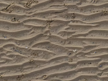 Beach Beach texture (ID:ffabf8783)