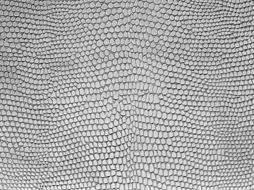 Coarse-grain leather texture (ID:ffaeg53431)