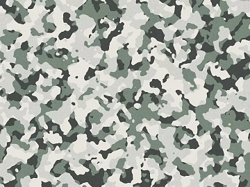 Camouflage texture (ID:ffaff9612)