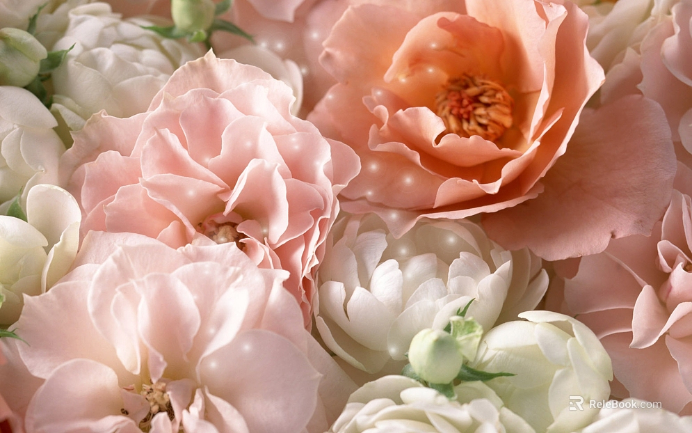 Flowers texture