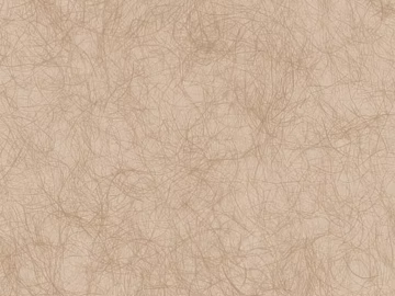 Beige fiber texture paint for wall (ID:ffaeh803096)