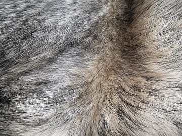 animal fur texture (ID:ffabg21229)