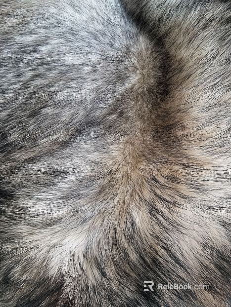 animal fur texture