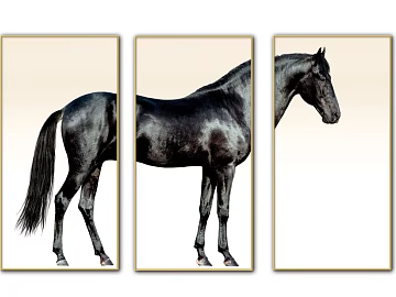 Animal painting texture (ID:ffagg34432)