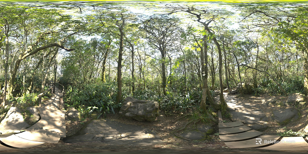 Outdoor Park Daytime HDR Map texture