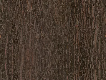 bark texture (ID:ffach845320)
