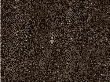 Coarse-grain leather 3d model
