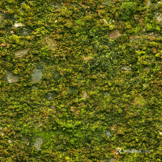 moss texture