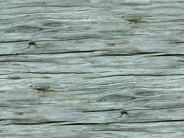 ancient tree bark texture (ID:ffhee455)