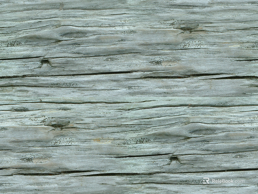 ancient tree bark texture