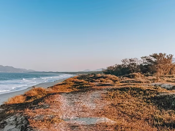 Wild Scenery texture (ID:ffaeg77827)