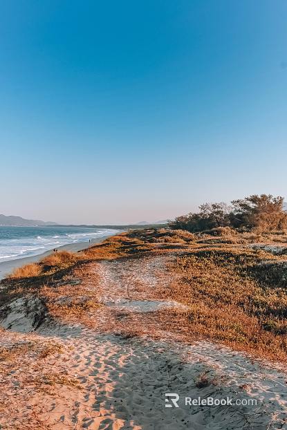 Wild Scenery texture