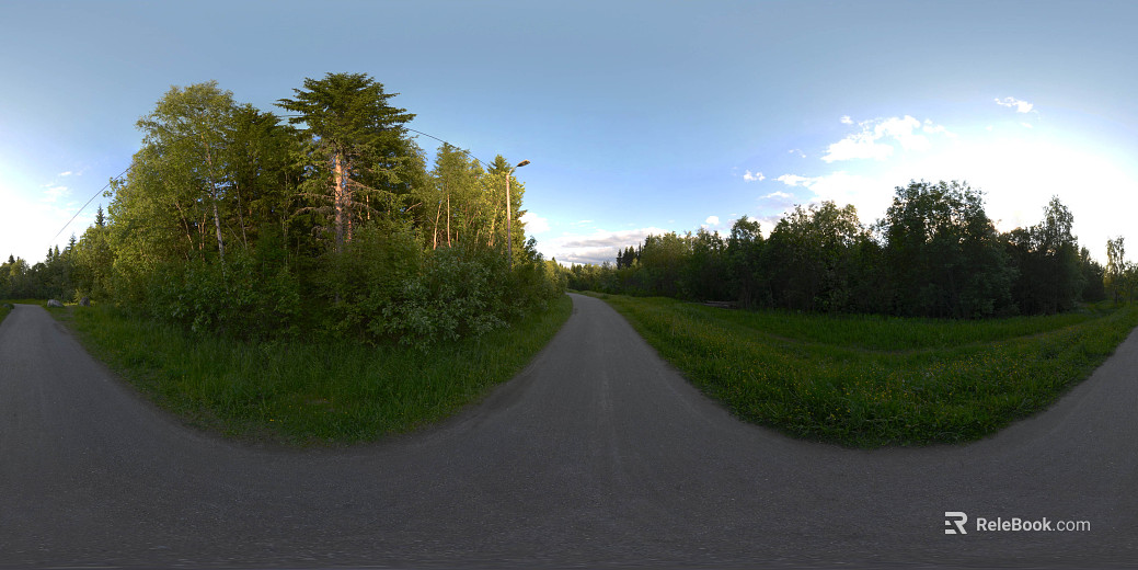 Outdoor Woods Road Daytime HDR texture