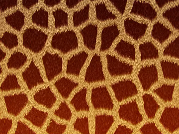 Plain pattern carpet texture (ID:ffagg16442)
