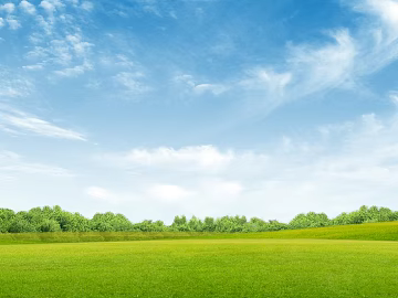 Wild Scenery texture (ID:ffacg63849)