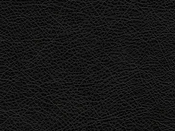 fine grain leather 3d model