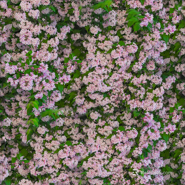 shrub flowers bushes texture