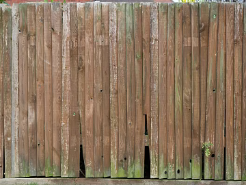 Wooden panel texture (ID:ffagg41371)
