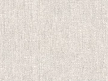 plain cloth texture (ID:ffacg65617)