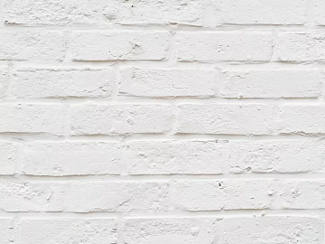 Brick wall texture (ID:ffach377956)