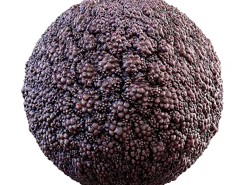 Biological Fur PBR texture (ID:ffach106994)