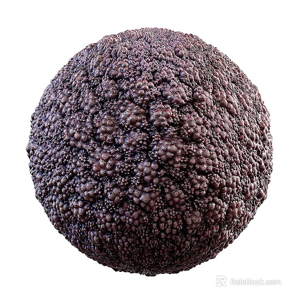 Biological Fur PBR texture