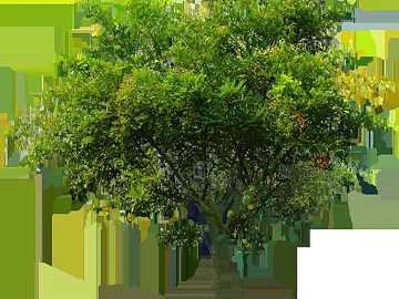 Plants texture (ID:ffacg87342)