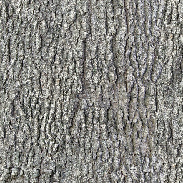 ancient tree bark texture