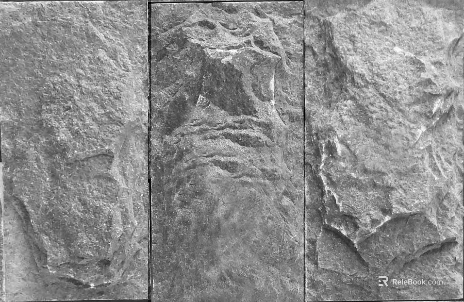 Black and White Bump texture