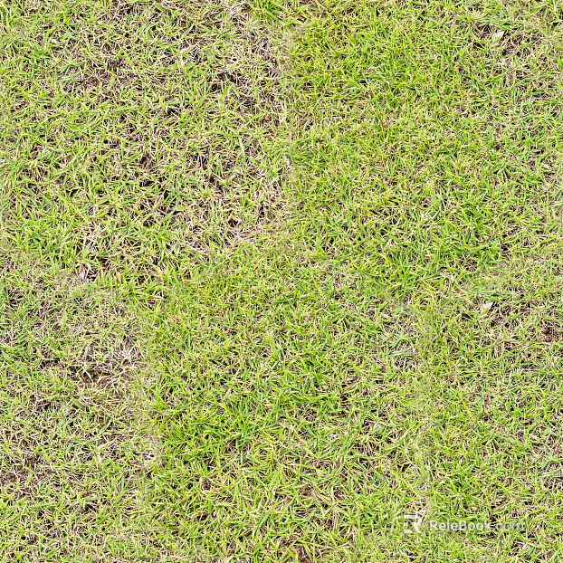 Grassland texture
