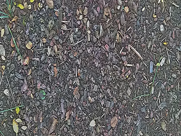 fallen leaves texture (ID:ffagg10458)