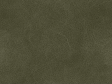 fine grain leather texture (ID:ffaeg39146)
