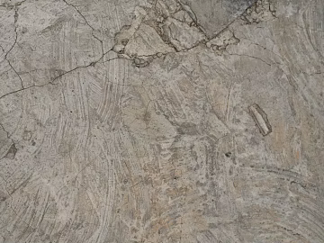 Cement floor texture (ID:ffagg23786)