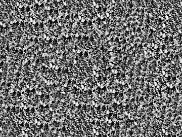 Black and White Bump texture (ID:ffaeg26229)