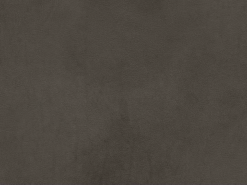 fine grain leather texture (ID:ffabg19215)