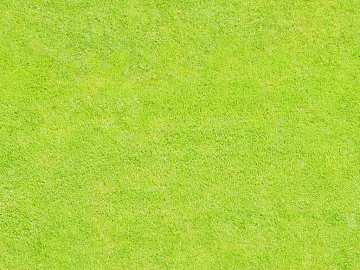 Turf texture (ID:ffacf9812)