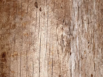 Trunk texture (ID:ffach234330)