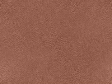 Coarse-grain leather texture (ID:ffacg59641)