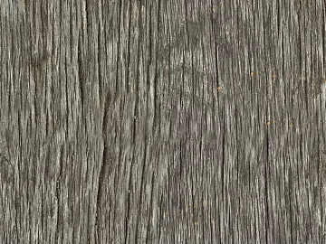 bark texture (ID:ffajg31564)