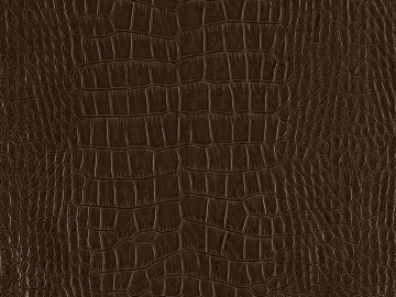 animal skin texture (ID:ffacg30869)