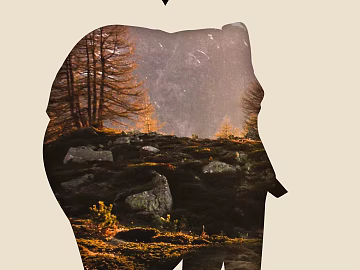 decorative painting texture (ID:ffaeg47121)