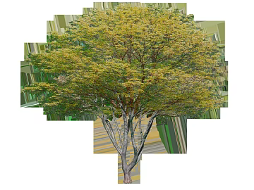 Plants texture (ID:ffacg33842)