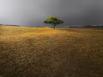 Wild Scenery texture (ID:ffajg11760)