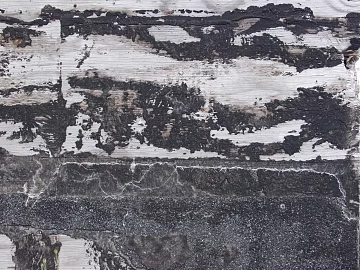 Cement texture (ID:ffaeg30864)