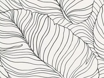 Black and white plant lines soft wallpaper texture (ID:ffaeh237836)