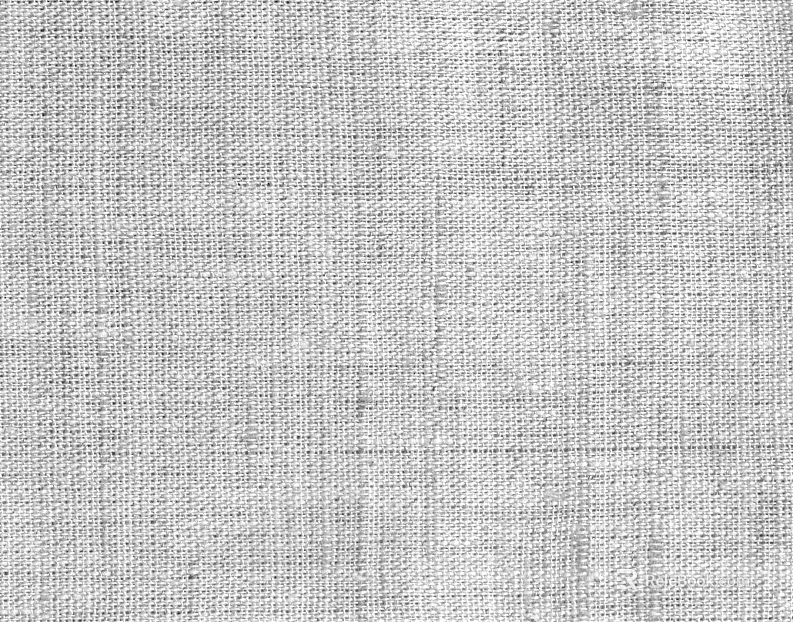 plain cloth texture