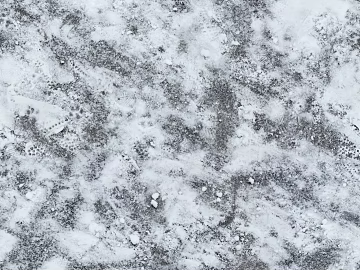 Frozen ground texture (ID:ffabf5578)